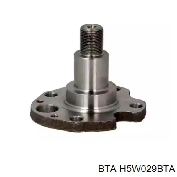 H5W029BTA BTA цапфа (поворотный кулак задний)