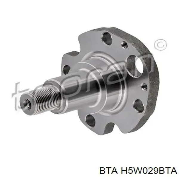 Кулаки поворотные задней подвески BTA H5W029BTA