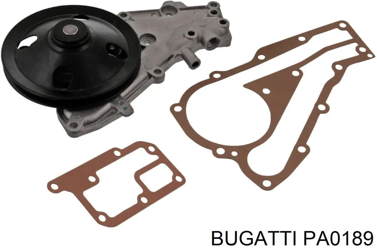 PA0189 Bugatti помпа