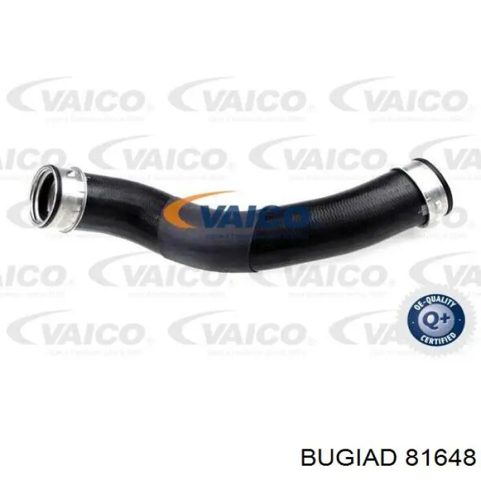 Шланг/патрубок интеркуллера Bugiad 81648 цена, от 63.01 USD
