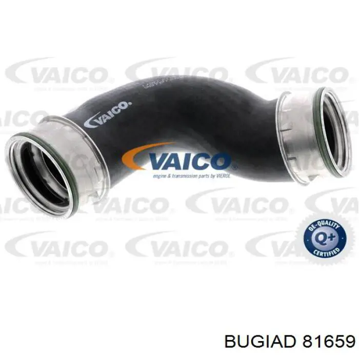 Шланг/патрубок интеркуллера Bugiad 81659 цена, от 38.10 USD