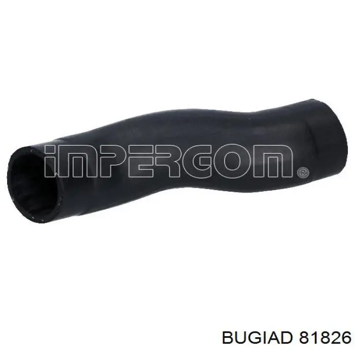 81826 Bugiad mangueira (cano derivado superior de intercooler)