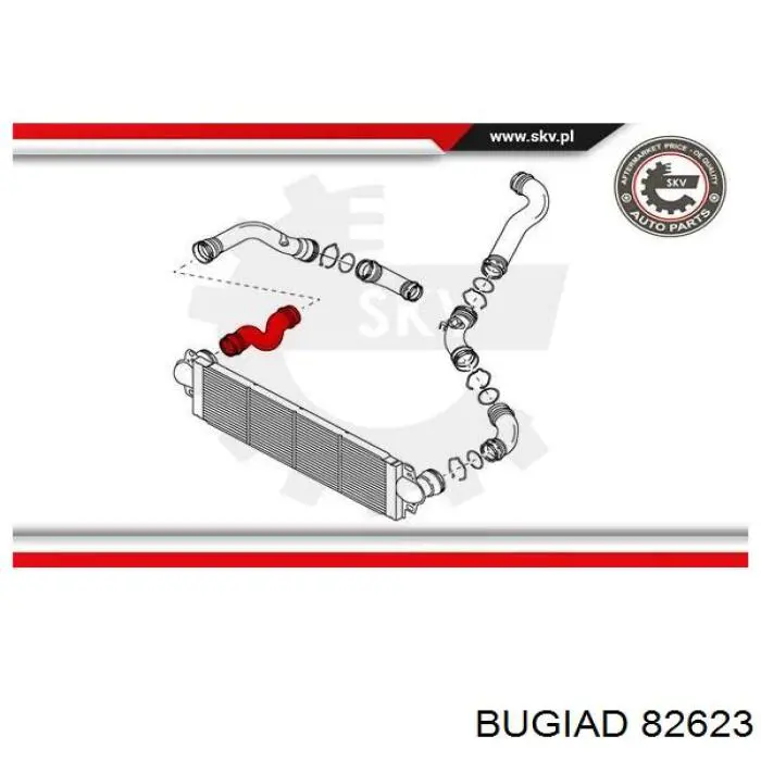 Купить 82623 Bugiad Патрубок интеркулера