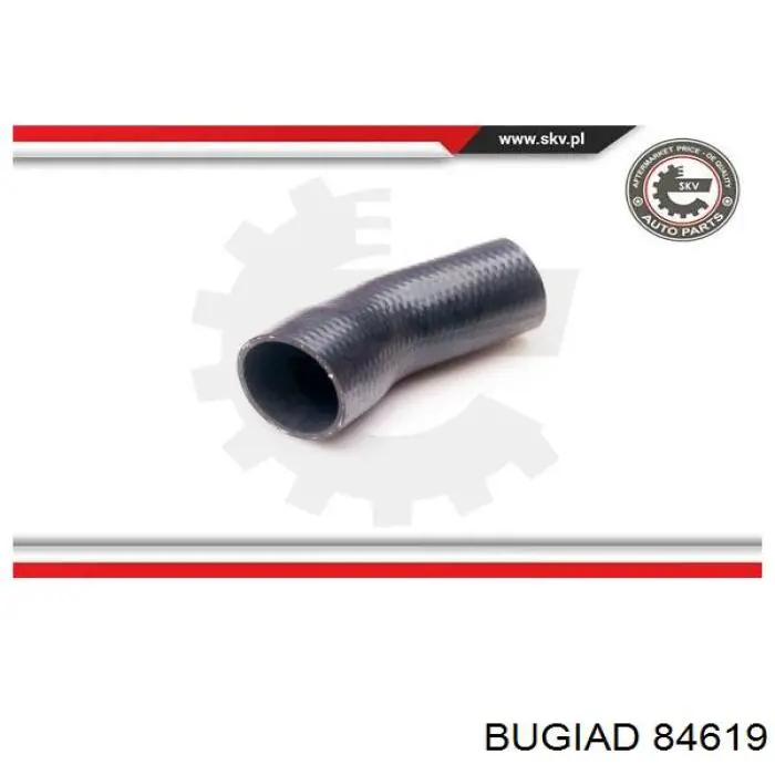 Шланг/патрубок интеркуллера Bugiad 84619 цена, от 34.50 USD
