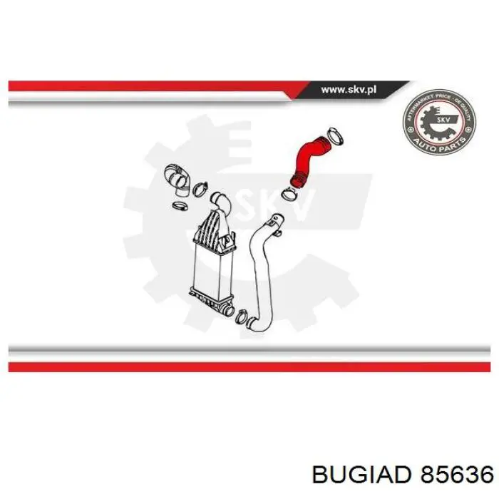 Купить 85636 Bugiad Патрубок интеркулера