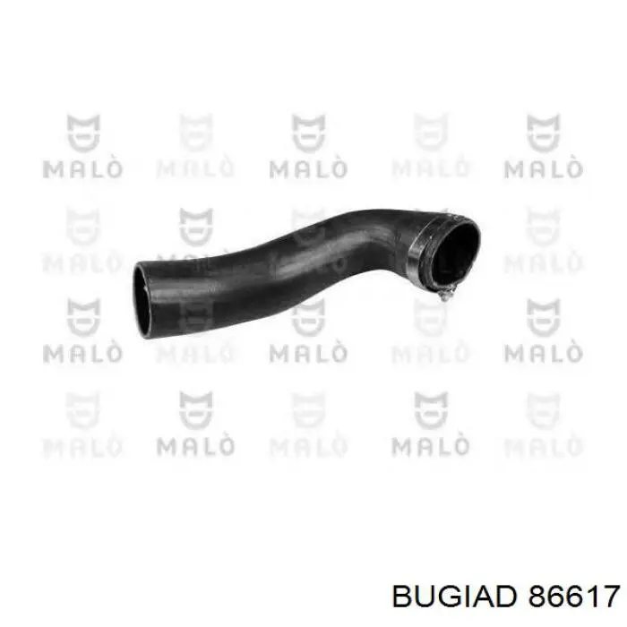 86617 Bugiad