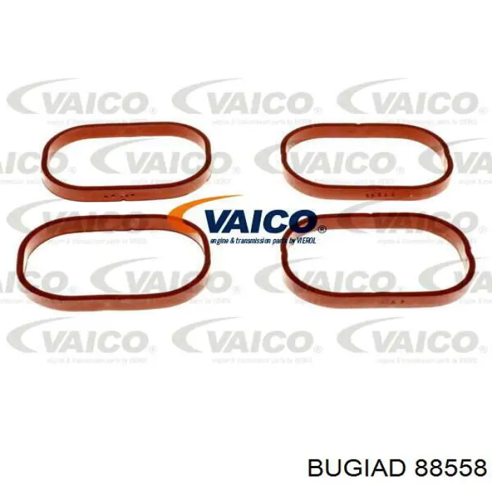 Шланг/патрубок интеркуллера Bugiad 88558 цена, от 41.19 USD