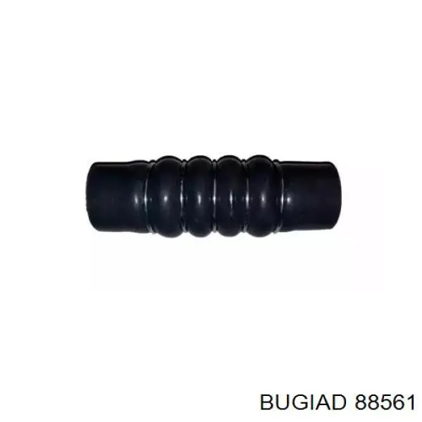 88561 Bugiad mangueira (cano derivado direita de intercooler)