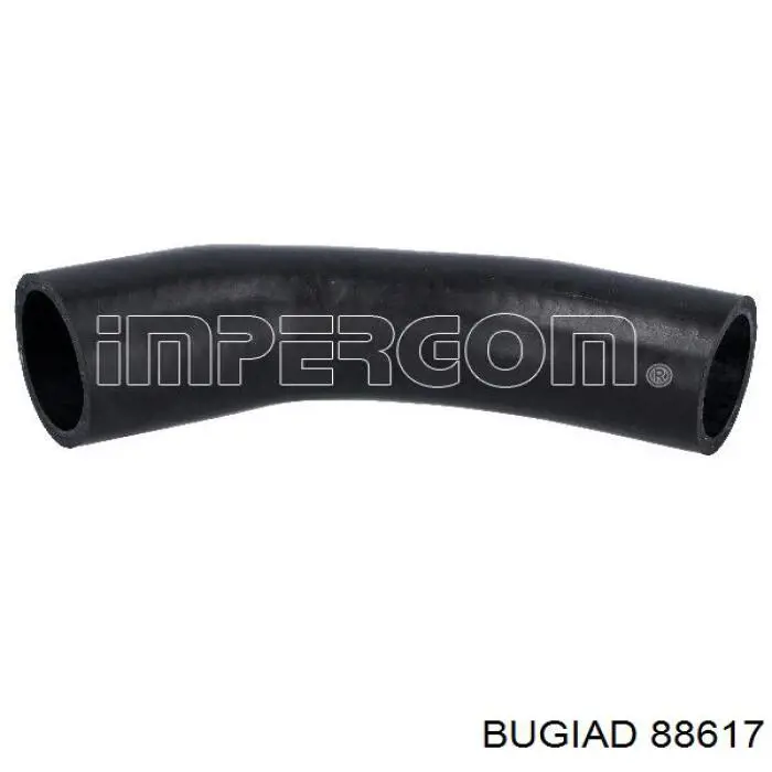 88617 Bugiad