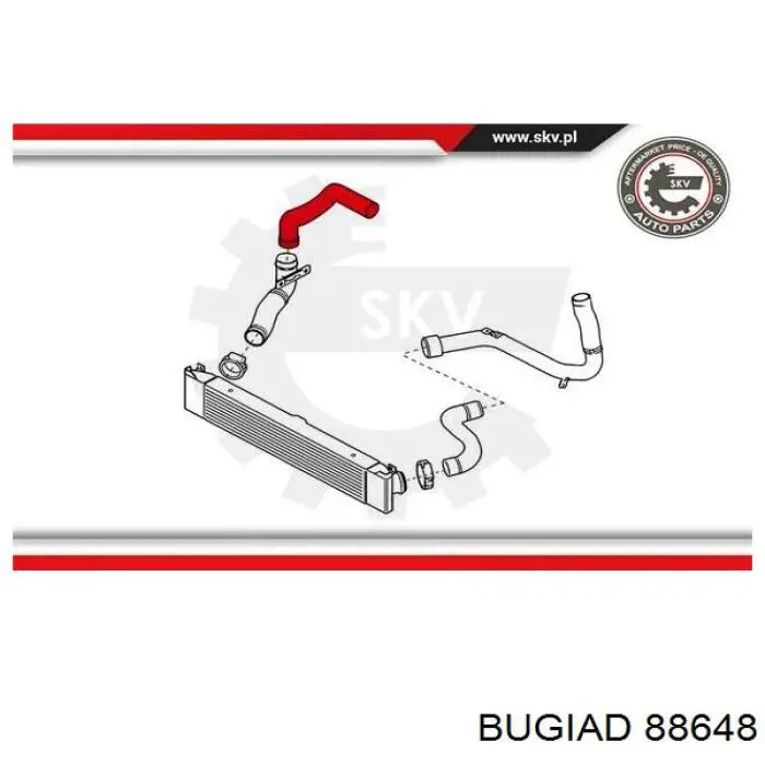 Шланг/патрубок интеркуллера Bugiad 88648 цена, от 35.51 USD