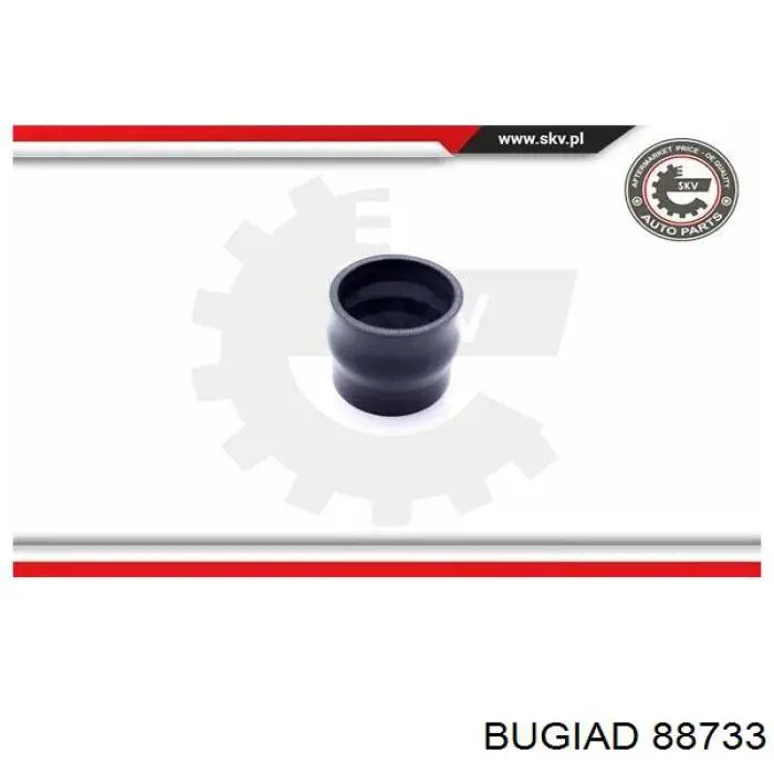 Шланг/патрубок интеркуллера Bugiad 88733 цена, от 14.09 USD