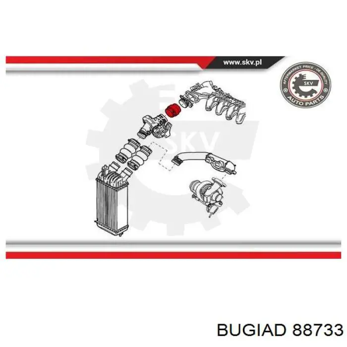 Купить 88733 Bugiad Патрубок интеркулера