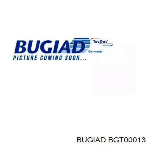 Насос вакуумный BGT00013 Bugiad