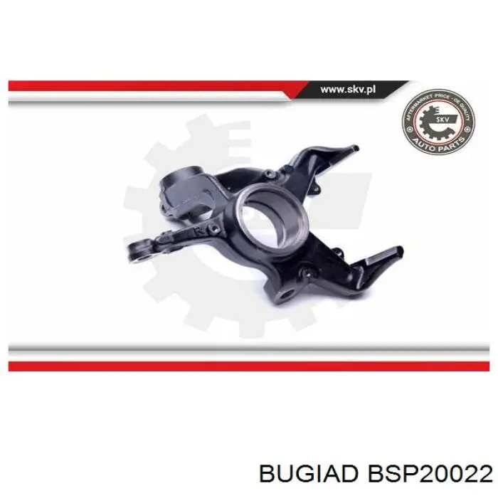 Цапфа (поворотный кулак) передний правый Bugiad BSP20022 цена, от 51.01 USD