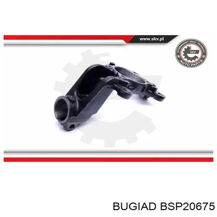 Цапфа передняя левая BSP20675 Bugiad