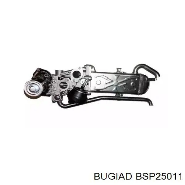 Радиатор системы EGR BSP25011 Bugiad