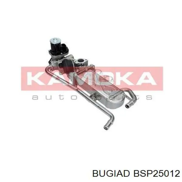 Радиатор системы EGR BSP25012 Bugiad