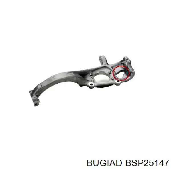 Цапфа (поворотный кулак) передний правый Reinhoch RH080072 цена, от 250.16 USD
