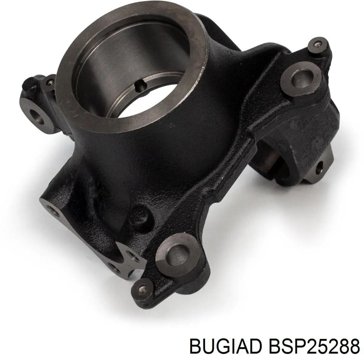 BSP25288 Bugiad цапфа (поворотный кулак передний правый)