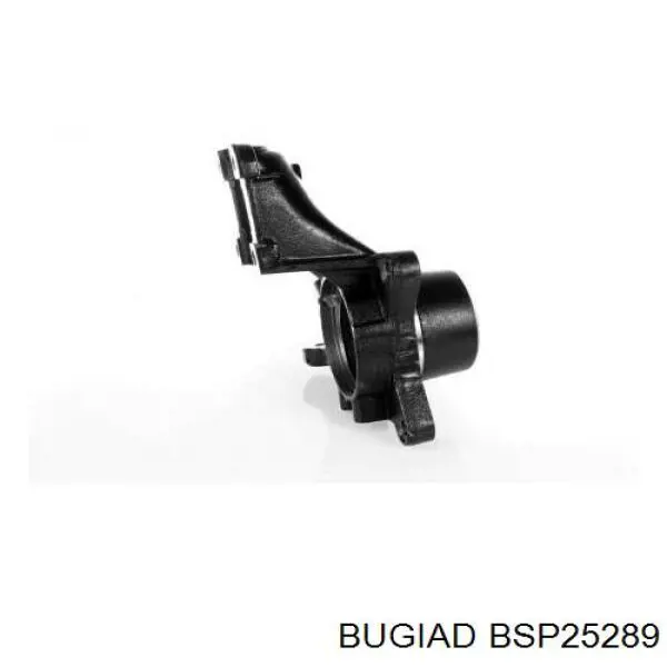Купить 334679 Peugeot/Citroen Цапфа поворотная левая