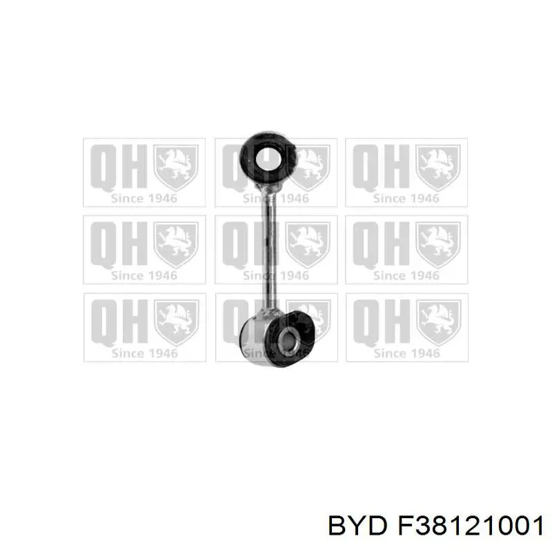 F38121001 BYD Внутрисалонный фильтр