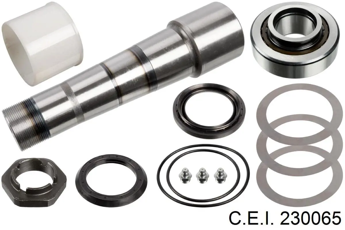 230065 C.e.i.
