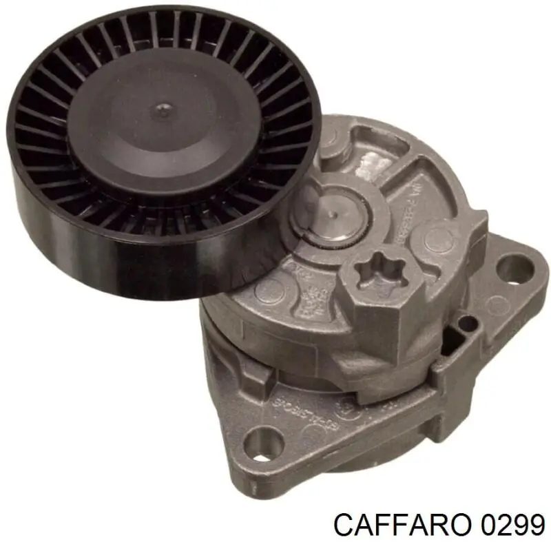 0299 Caffaro