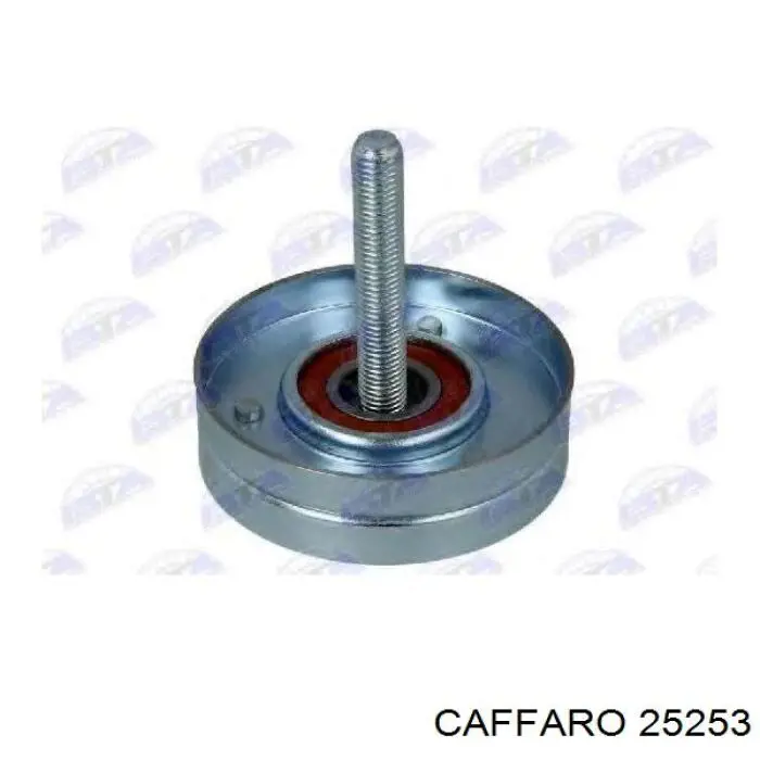 25253 Caffaro