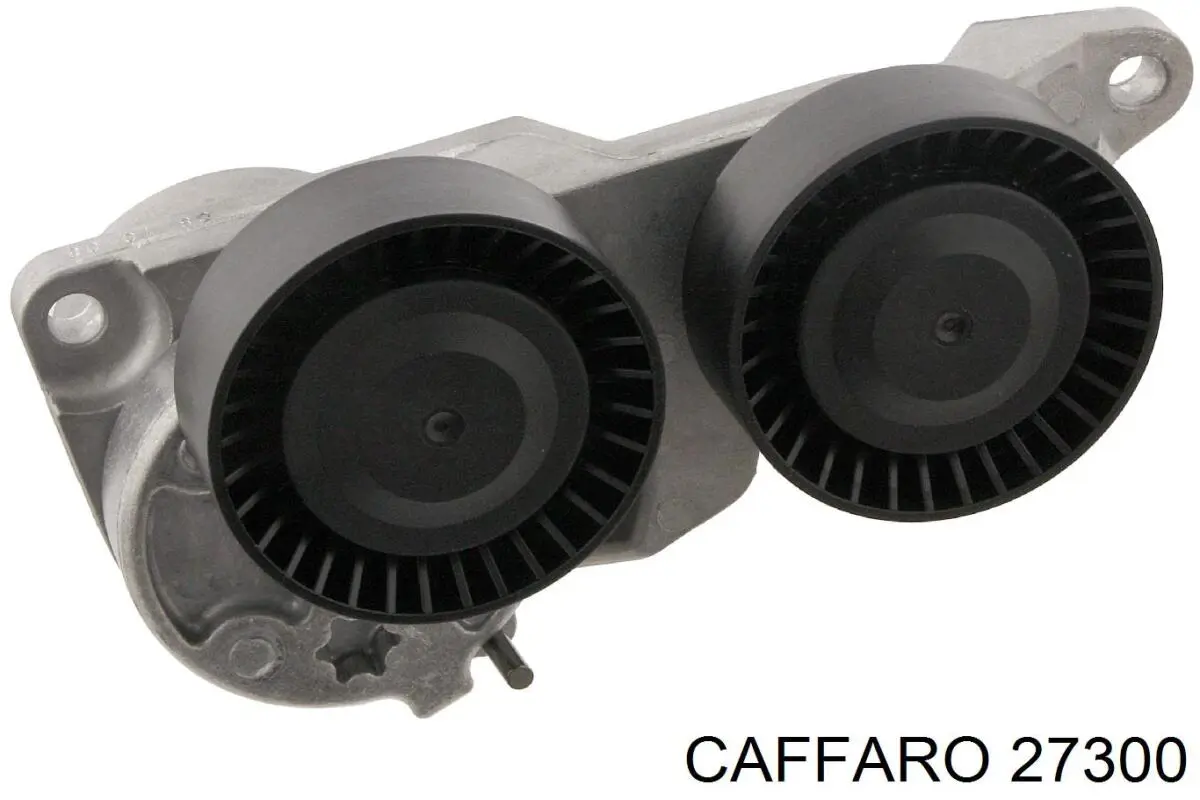 Купить 27300 Caffaro Натяжной ролик
