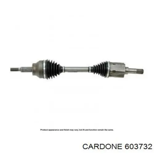  603732 Cardone