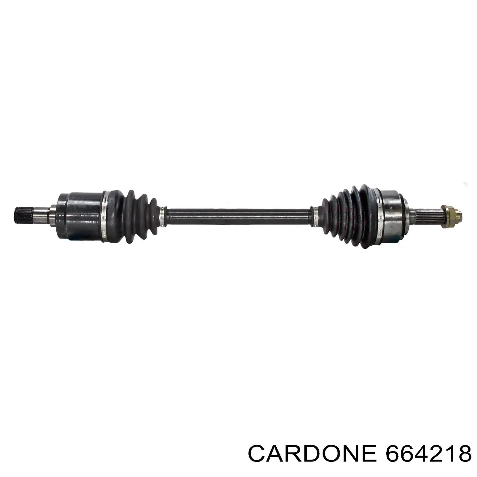  664218 Cardone