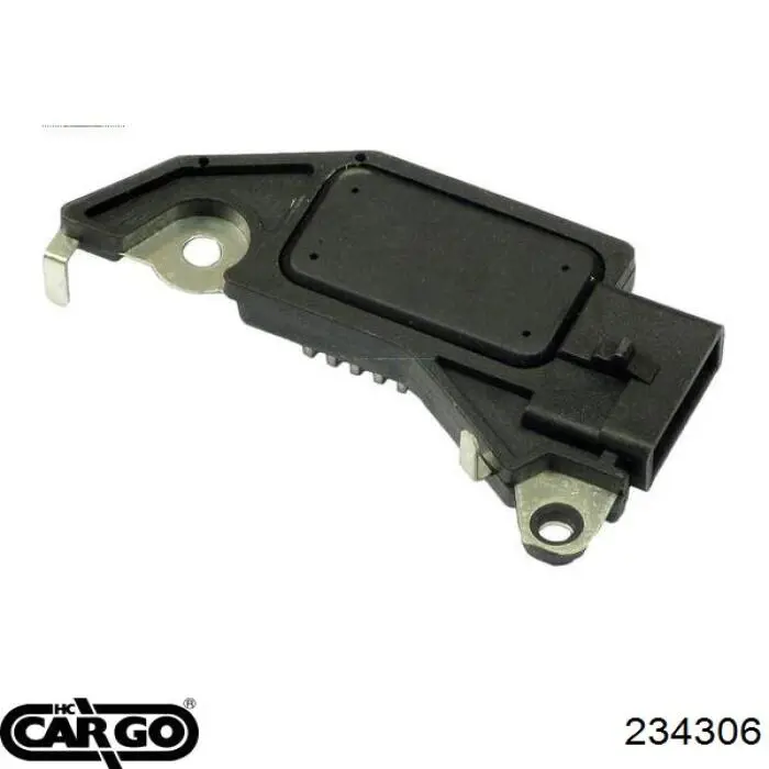 234306 Cargo