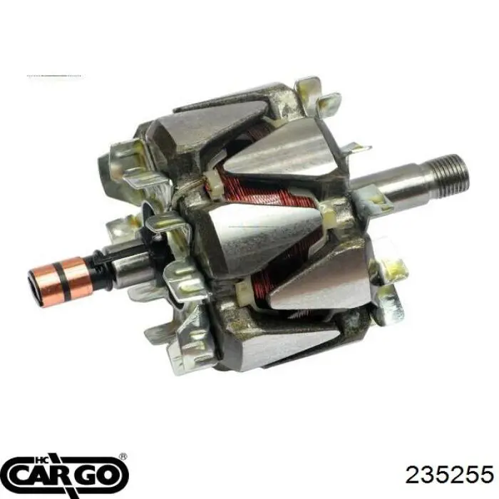 235255 Cargo induzido (rotor do gerador)