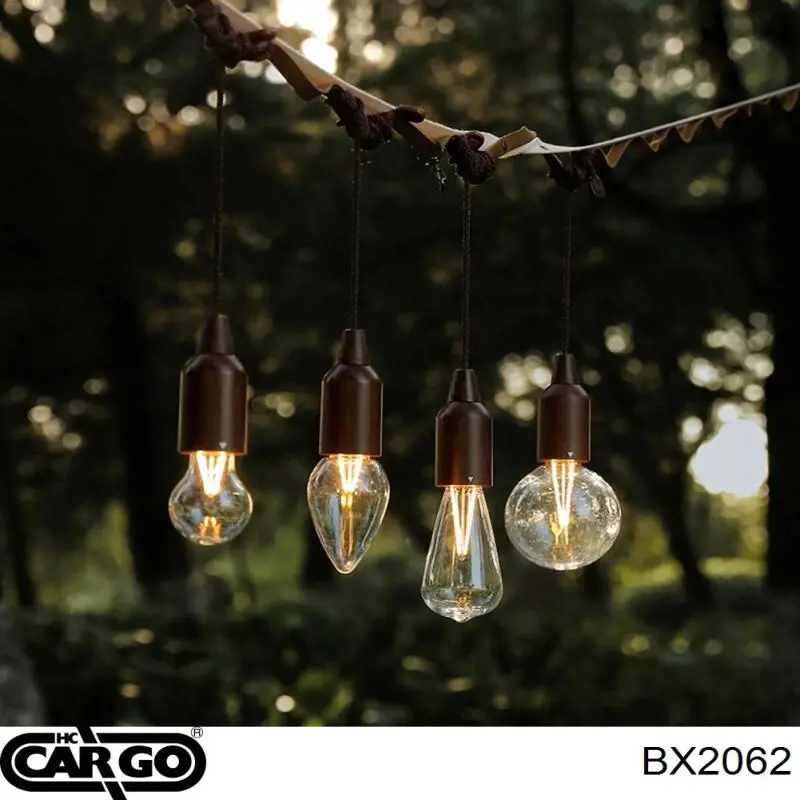 Купить BX2062 Cargo Щетки генератора
