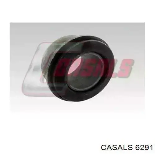  6291 Casals