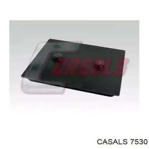  7530 Casals