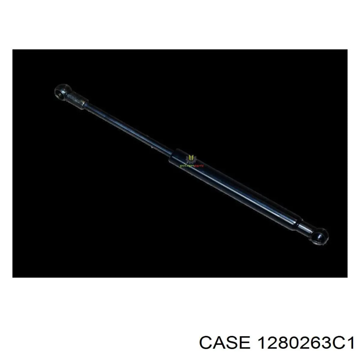 1280263C1 Case 