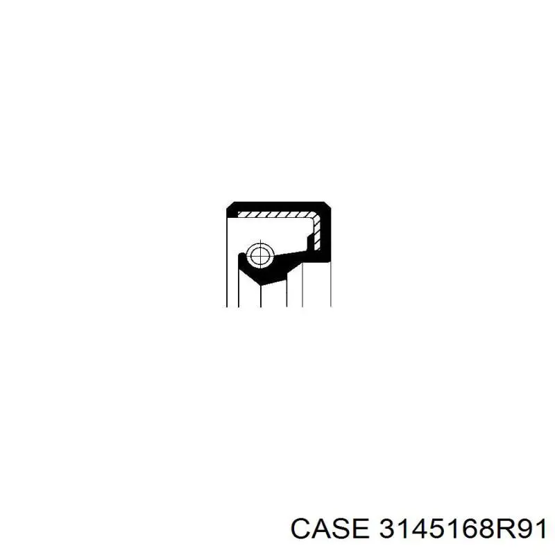 Сальник штока переключения коробки передач 3145168R91 Case