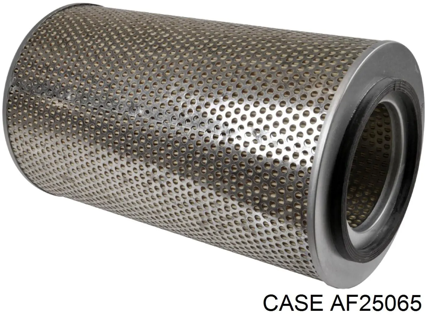 Воздушный фильтр AF25065 Case