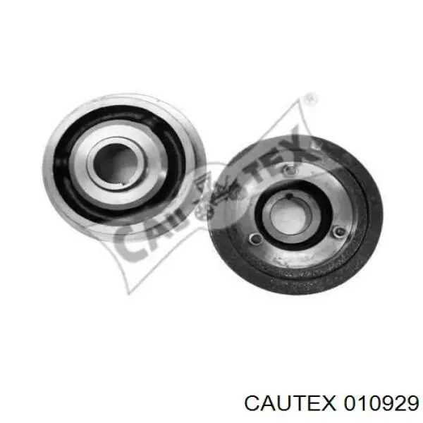  010929 Cautex