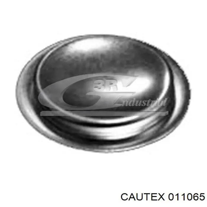 Заглушка ГБЦ 011065 Cautex