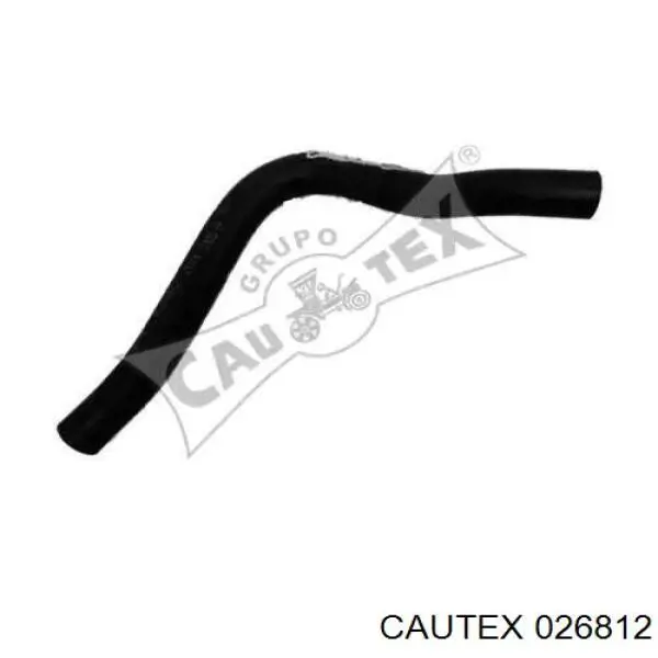 026812 Cautex mangueira (cano derivado do radiador de esfriamento superior)