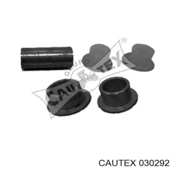  030292 Cautex