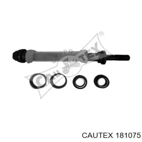 Сайлентблок заднего продольного рычага передний 181075 Cautex