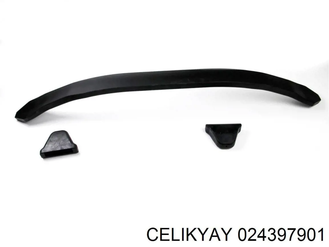  Celikyay 024397901