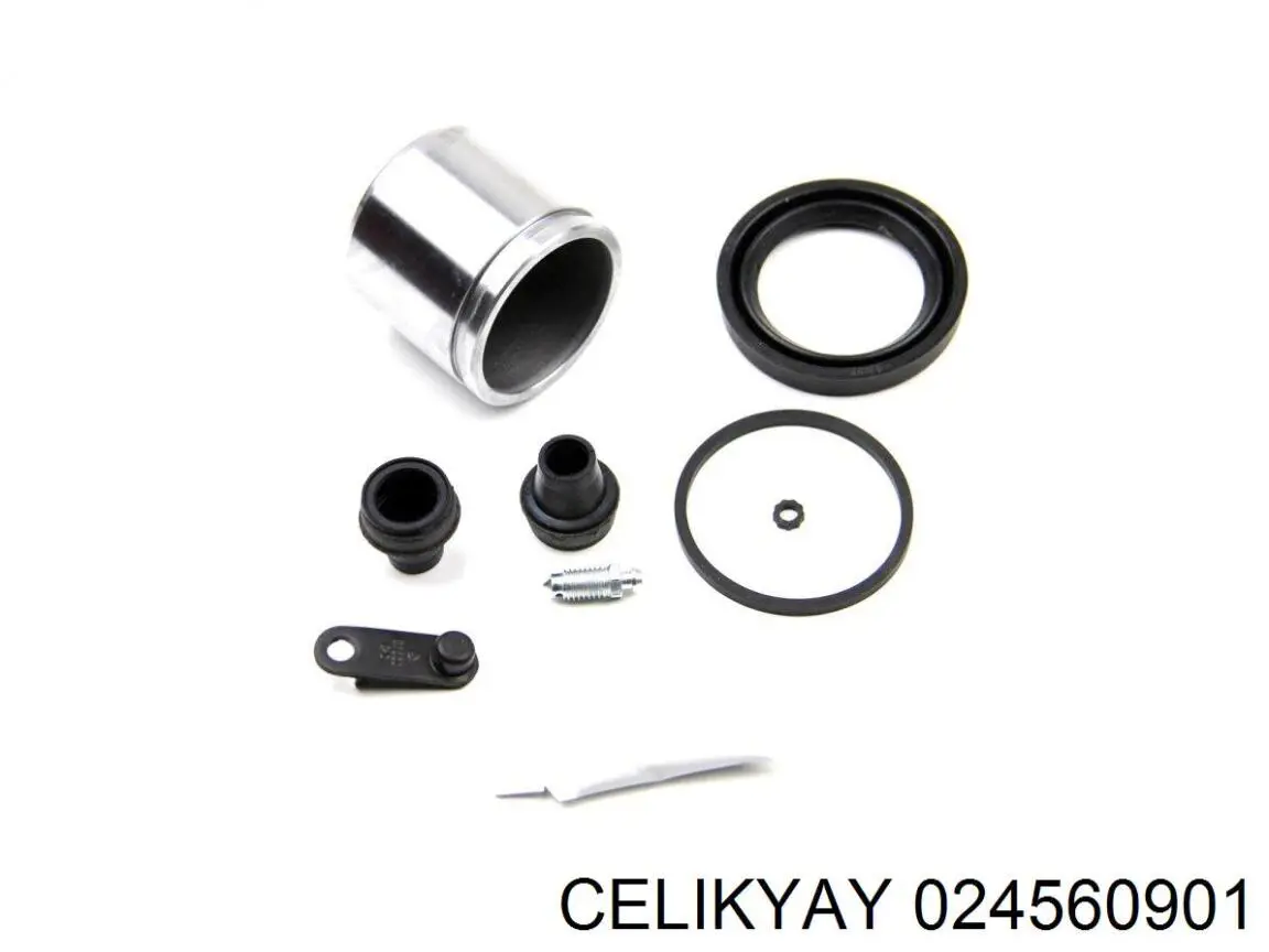  Celikyay 024560901