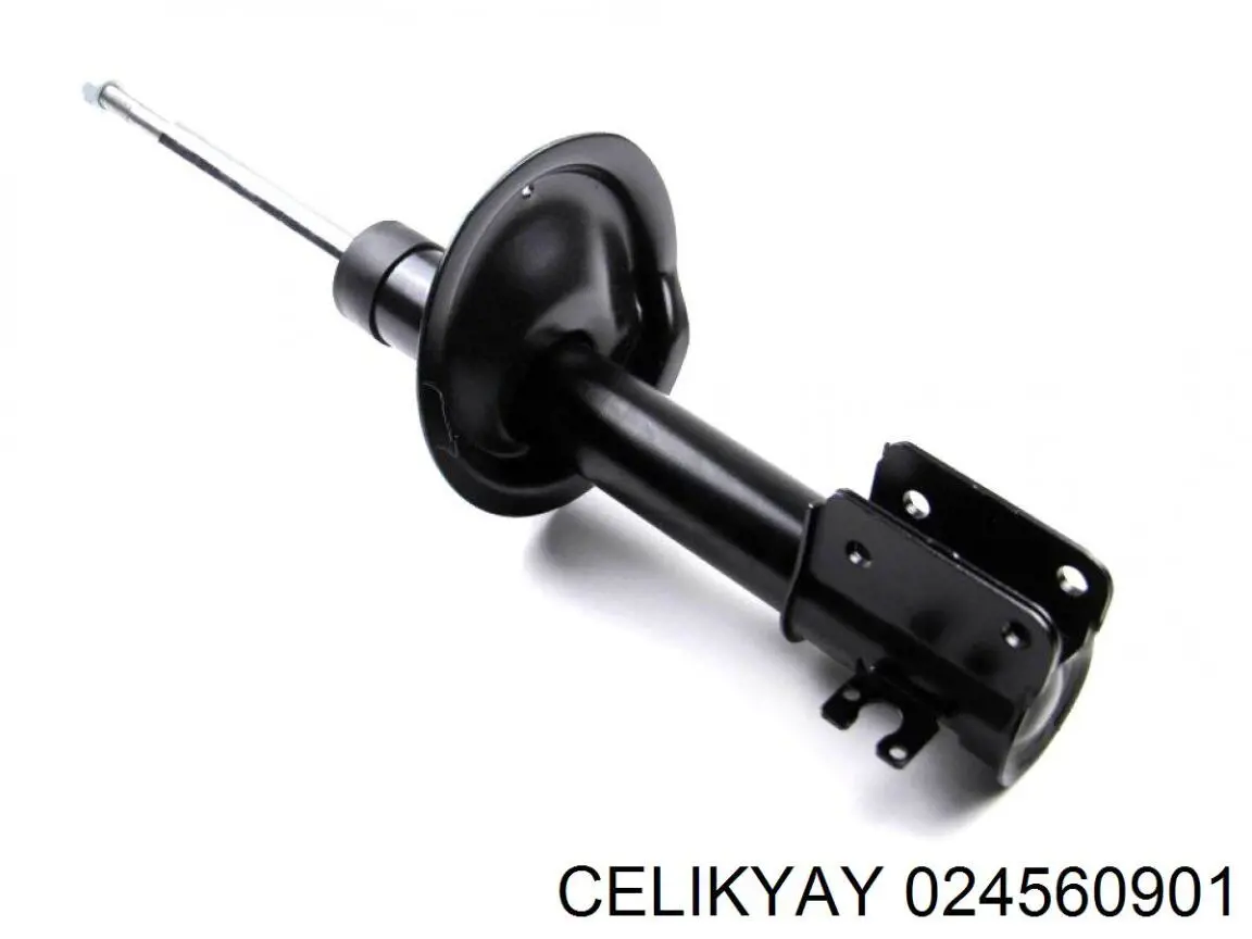 024560901 Celikyay 