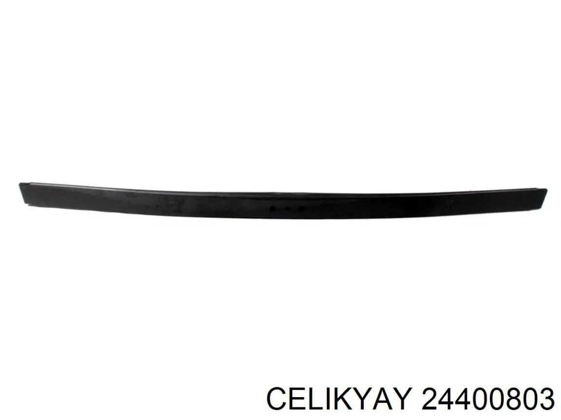 24400803 Celikyay