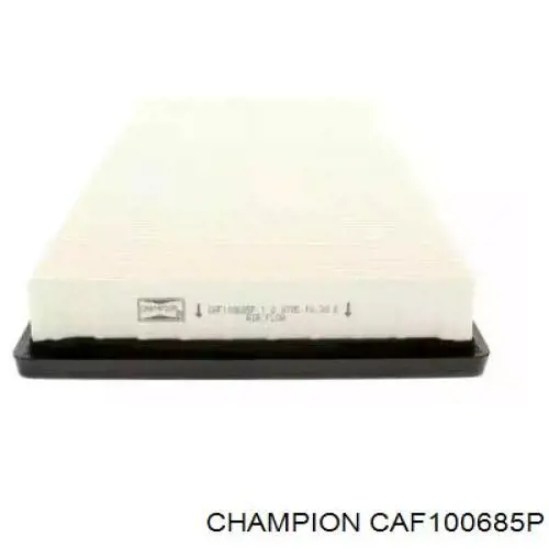 CAF100685P Champion