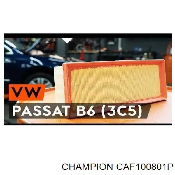 CAF100801P Champion